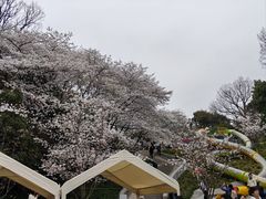 -杭州少年儿童公园