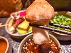 -大龙燚·旷野鲜火锅(广州首店)