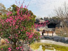 -上海吴淞炮台湾国家湿地公园