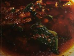 -九锅一堂酸菜鱼(新南凯德直营店)