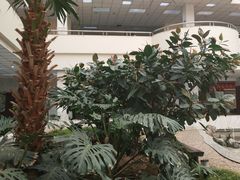 -沈阳师范大学-图书馆