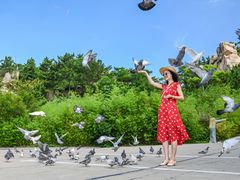 -西霞口神雕山野生动物世界