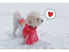 -CONVERSE匡威(王府井店)