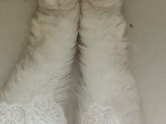 -怪兽屋·羊驼·猫咖·狗咖(俊华广场店)