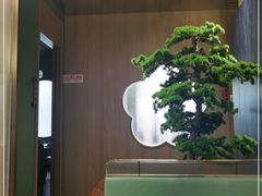 -小湘旺臭鳜鱼·新湘菜(马连道路店)