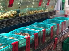 -海大大蒸汽海鲜餐厅·粤菜·特色小炒(欢乐颂店)