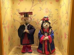 -济州岛泰迪熊博物馆