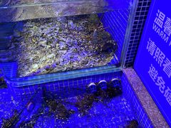 -青蓬蒸汽海鲜·深圳老字号·团建聚会(壹方城店)