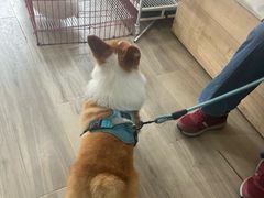-萌小它宠物健康管理中心(怡海家园店)