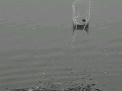 -亚龙湾海底世界