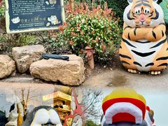 -红山森林动物园