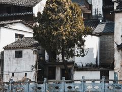 -石潭村