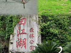 -广州白江湖森林公园