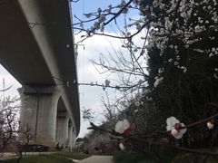 -秀丽东方