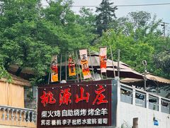 -桃源山庄·水蜜桃采摘·柴火鸡·烧烤团建(龙泉山店)