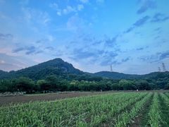 -八卦田遗址公园