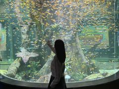 -合肥海洋世界