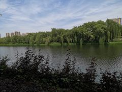 -西安汉城湖景区