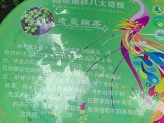 -西双版纳原始森林公园