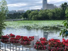 -长春市南湖公园