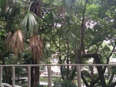 二楼景观位-星巴克臻选(广州沙面店)