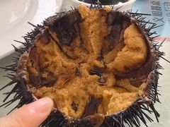 -广鹿岛