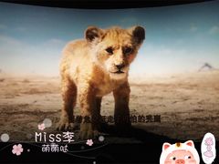 -万达影城(IMAX激光铁西万达广场店)