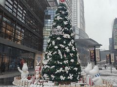 -大悦城(沈阳中街店)