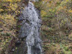 -本溪汤沟绿石谷森林公园