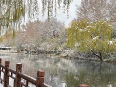 -环城公园