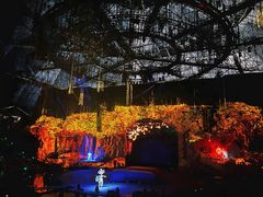 -广州长隆国际大马戏