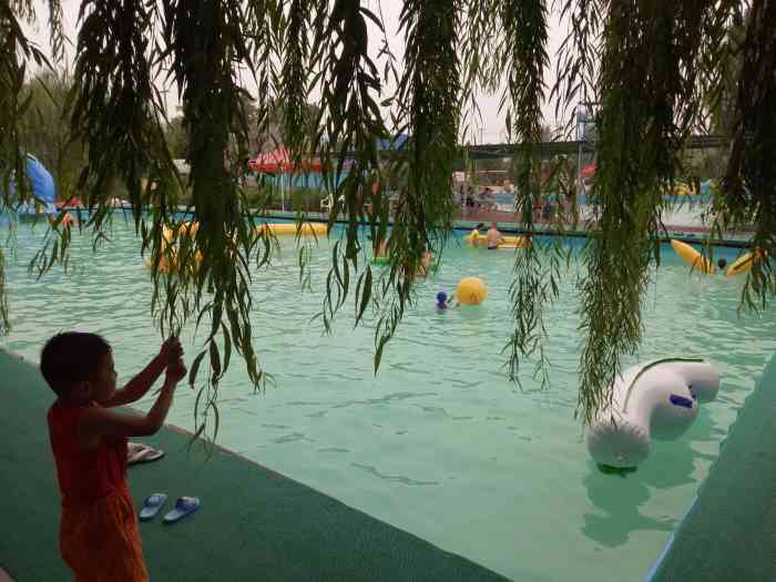 乐悠悠水上乐园-"与其他地方相比总体感觉还可以吧."-大众点评移动版