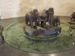 -大庆市博物馆