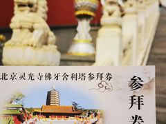 -八大处公园