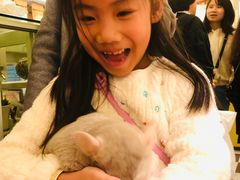 -龙猫仔乐园(惠福东路店)