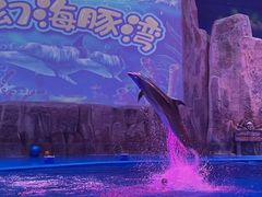 -华夏文旅海洋公园