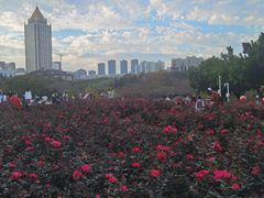 -深圳龙潭公园
