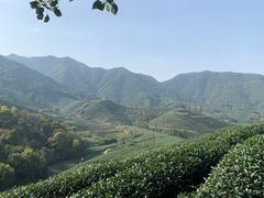 -龙坞茶村