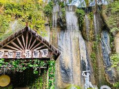 -西双版纳原始森林公园