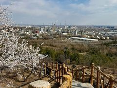 -白水寺森林公园