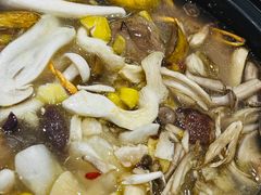 -菌之家·专业纯野生菌火锅·特色炒菌