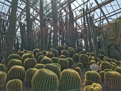-南山植物园