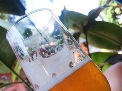 -Sirena海妖日咖夜酒