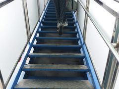 -上海港国际客运中心