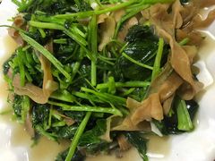 杏鲍菇炒菜苖-温州一家人美食(西木头市店)