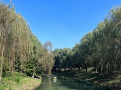 -阳澄湖半岛旅游度假区