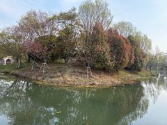 -梁鸿国家湿地公园