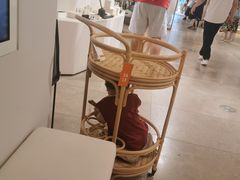-ZARA HOME(蓝色港湾店)