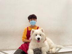 -星多哈·狗咖·拼豆·咖啡