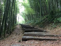 -西湖风景区十里琅珰-五云山